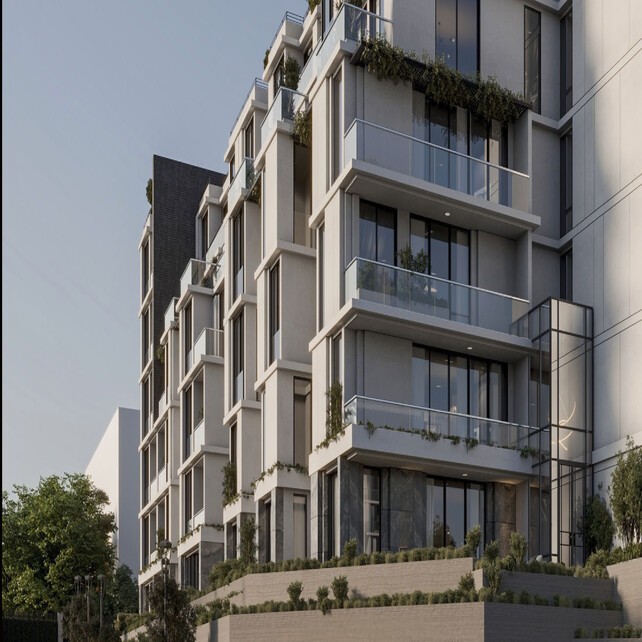 DUPLEX 243